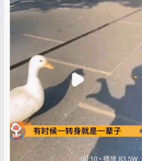 盖耶红牌风波：从场上冲突到职业生涯的警示录