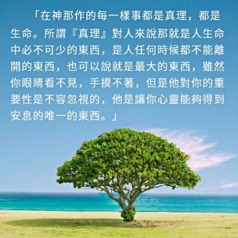 人生一球！卡布拉尔进球后抱头不敢相信，冲上看台拥抱家人